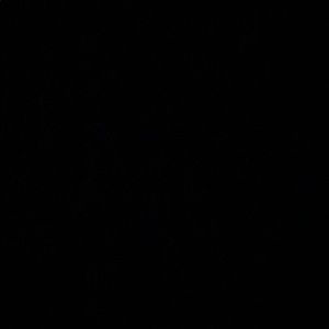 Meet your Posher, Lola